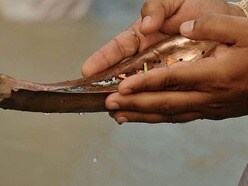 তর্পণসহ বৃশ্চিক সংক্রান্তিতে করুন ৩ কাজ