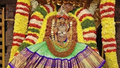 ఈనెల 16న శ్రీ పద్మావతి అమ్మవారి బ్రహ్మోత్సవాలకు అంకురార్పణ ఈనెల 16న శ్రీ పద్మావతి అమ్మవారి బ్రహ్మోత్సవాలకు అంకురార్పణ