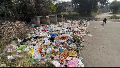 Waste dumped at railway colony number 8 in Ludhiana on Saturday (Gurpreet Singh/HT) Waste dumped at railway colony number 8 in Ludhiana on Saturday (Gurpreet Singh/HT)