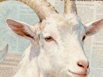 Capricorn Weekly Horoscope: Read our expert astrological predictions to find out what the stars have in store for you.
