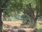 Maharashtra animal husbandry department on Friday lodged FIR against 26 persons, including acting joint sub-registrar over the alleged illegal sale of government plot in Tathawade near Wakad. (HT) Maharashtra animal husbandry department on Friday lodged FIR against 26 persons, including acting joint sub-registrar over the alleged illegal sale of government plot in Tathawade near Wakad. (HT)