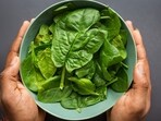 Consuming green, leafy vegetables like spinach raw may be harmful for your health. Consuming green, leafy vegetables like spinach raw may be harmful for your health.
