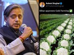 Shashi Tharoor indirectly replied to the Assam leader’s “gobi farming” post. Shashi Tharoor indirectly replied to the Assam leader’s “gobi farming” post.