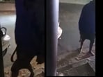 The incident, which took place last night, has raised fresh concerns over rising street-level hooliganism in the city. The incident, which took place last night, has raised fresh concerns over rising street-level hooliganism in the city.