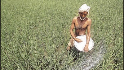 Data shows 21 wholesalers in Nuh legally handle ammonium nitrate, exposing loopholes even as unsafe storage and missing records complicate the crackdown. (AP) Data shows 21 wholesalers in Nuh legally handle ammonium nitrate, exposing loopholes even as unsafe storage and missing records complicate the crackdown. (AP)
