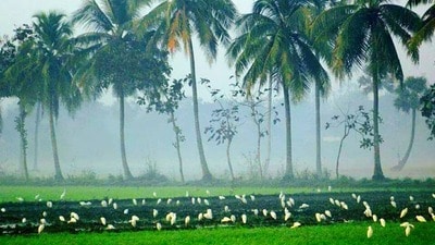 కోనసీమ (image source FB (Konaseema)) కోనసీమ (image source FB (Konaseema))