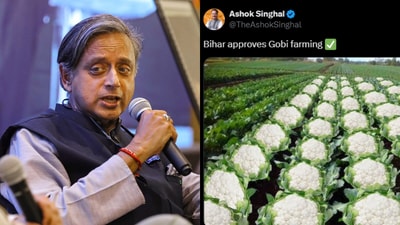 Shashi Tharoor indirectly replied to the Assam leader’s “gobi farming” post. (PTI/X)