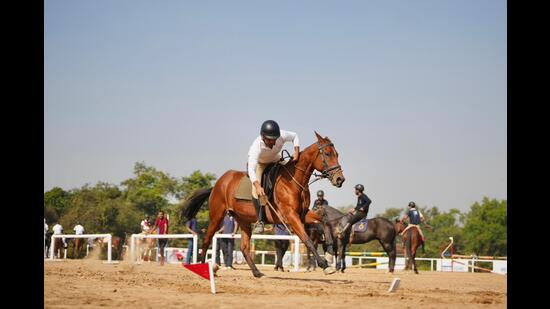 A jockey in action during the final day of the Punjab Equestrian Festival 2.0 at Palanpur in Mohali on Sunday. (HT Photo)