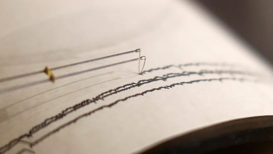 As per the NCS, the earthquake occurred at a shallow depth of 10km. ( Representational Image)