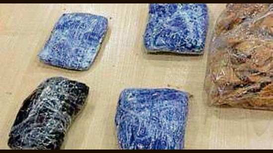 The seized opium in Ludhiana on Sunday. (HT Photo)