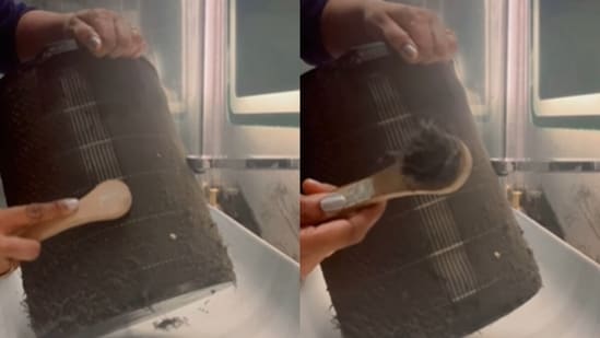 A Delhi woman posted a clip cleaning her clogged air purifier as the capital’s air turned very poor. (Instagram/pragatiagarwal0 )