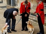 Britain's Prince Andrew pets the royal corgis Muick and Sandy on the day of the state funeral and burial of Britain's Queen Elizabeth, at Windsor Castle in Windsor, Britain. (REUTERS/Peter Nicholls/Pool)