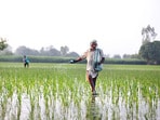 ప్రతీకాత్మక చిత్రం