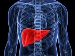 Protect your liver health by proactively following precautionary measures. 