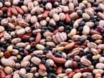 Why adding beans to your meals can lower disease risk