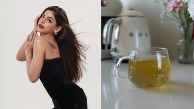 All you need to know about Alaya F's go-to nighttime digestive detox juice All you need to know about Alaya F's go-to nighttime digestive detox juice