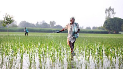 ప్రతీకాత్మక చిత్రం ప్రతీకాత్మక చిత్రం