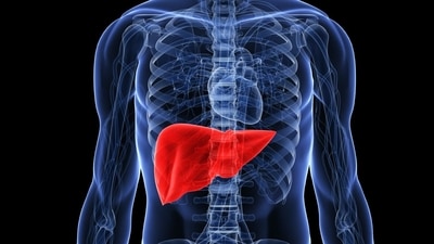 Protect your liver health by proactively following precautionary measures. (Twitter/AHealthyBod) Protect your liver health by proactively following precautionary measures. (Twitter/AHealthyBod)