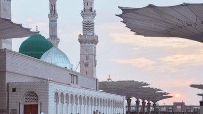 Saudi Arabia Crash Live: The Telangana government said it is in touch with the Indian Embassy in Riyadh. (x) Saudi Arabia Crash Live: The Telangana government said it is in touch with the Indian Embassy in Riyadh. (x)