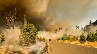 Canadian wildfires are affecting air quality in the northern US, with smoke reaching Nebraska, South Dakota, and Minnesota. (Representative Image: Unsplash) Canadian wildfires are affecting air quality in the northern US, with smoke reaching Nebraska, South Dakota, and Minnesota. (Representative Image: Unsplash)