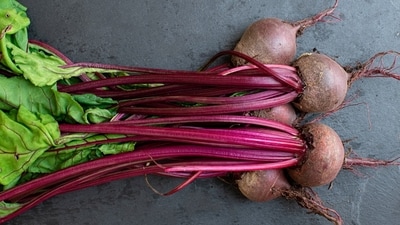 Beetroots are nutrient-rich and simple to grow at home this season (Unsplash) Beetroots are nutrient-rich and simple to grow at home this season (Unsplash)