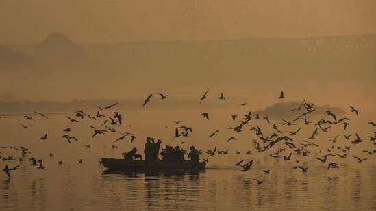 Gram it: People gather on a boat and feed migratory seagulls as the Yamuna takes on a sepia tone under a thick layer of smog. The Capital’s AQI remained in the ‘severe’ category at around 400 across Delhi-NCR, with a blanket of haze settling over the city. Even as residents grappled with the pollution, Delhi recorded its coldest night of the season on Saturday, with the minimum temperature dipping to 9.7°C. (Photo: Sumit/ANI)