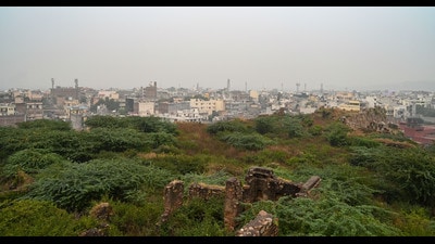 FSO certified land as claim-free; activists say notification is “woefully late” with years lost to litigation, political tussles and real-estate pressure on fragile Ridge terrain. (HT Archive) FSO certified land as claim-free; activists say notification is “woefully late” with years lost to litigation, political tussles and real-estate pressure on fragile Ridge terrain. (HT Archive)