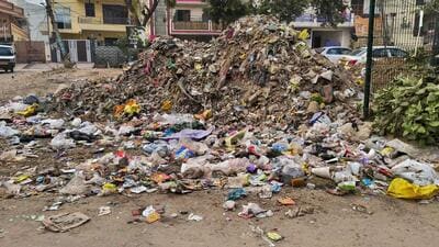 Garbage spread on the roadside in Sector 23A in Gurugram on Monday. (Parveen Kumar/HT) Garbage spread on the roadside in Sector 23A in Gurugram on Monday. (Parveen Kumar/HT)
