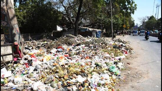 Civic body officials said challans are being issued regularly for garbage burning and open dumping across the city. (HT Photo)