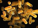 Tubercolosis still kills over 1.2 million people annually, as per the WHO. Tubercolosis still kills over 1.2 million people annually, as per the WHO.