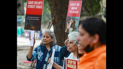 Activists alleged inflated bite statistics and raised concerns about RWAs forcibly seizing dogs with metal wires before official teams arrive. (PTI) Activists alleged inflated bite statistics and raised concerns about RWAs forcibly seizing dogs with metal wires before official teams arrive. (PTI)