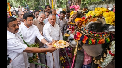 Karnataka minister Ramalinga Reddy, BJP MP Tejasvi Surya and others perform rituals during the Kadalekai Parishe in Bengaluru, on November 17. (PTI) Karnataka minister Ramalinga Reddy, BJP MP Tejasvi Surya and others perform rituals during the Kadalekai Parishe in Bengaluru, on November 17. (PTI)