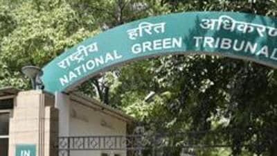 The National Green Tribunal (NGT) is hearing a plea filed in 2022 by resident Amit Aggarwal, alleging large-scale concretisation in Smriti Van. (HT Archive)