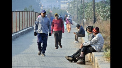 The temperature was below normal by 5.6 degree Celsius, even colder than Mahabaleshwar. (HT) The temperature was below normal by 5.6 degree Celsius, even colder than Mahabaleshwar. (HT)