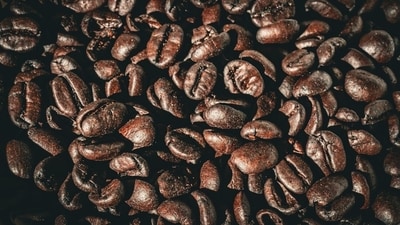 Check out how coffee grounds can help in getting Christmas cactus blooms. (Unsplash) Check out how coffee grounds can help in getting Christmas cactus blooms. (Unsplash)