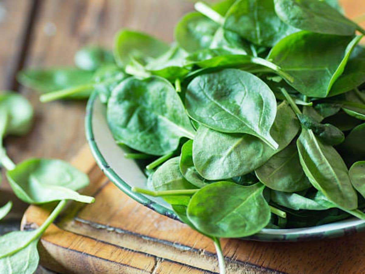 Consider adding more spinach to your diet. (Picture credit: Freepik) Consider adding more spinach to your diet. (Picture credit: Freepik)