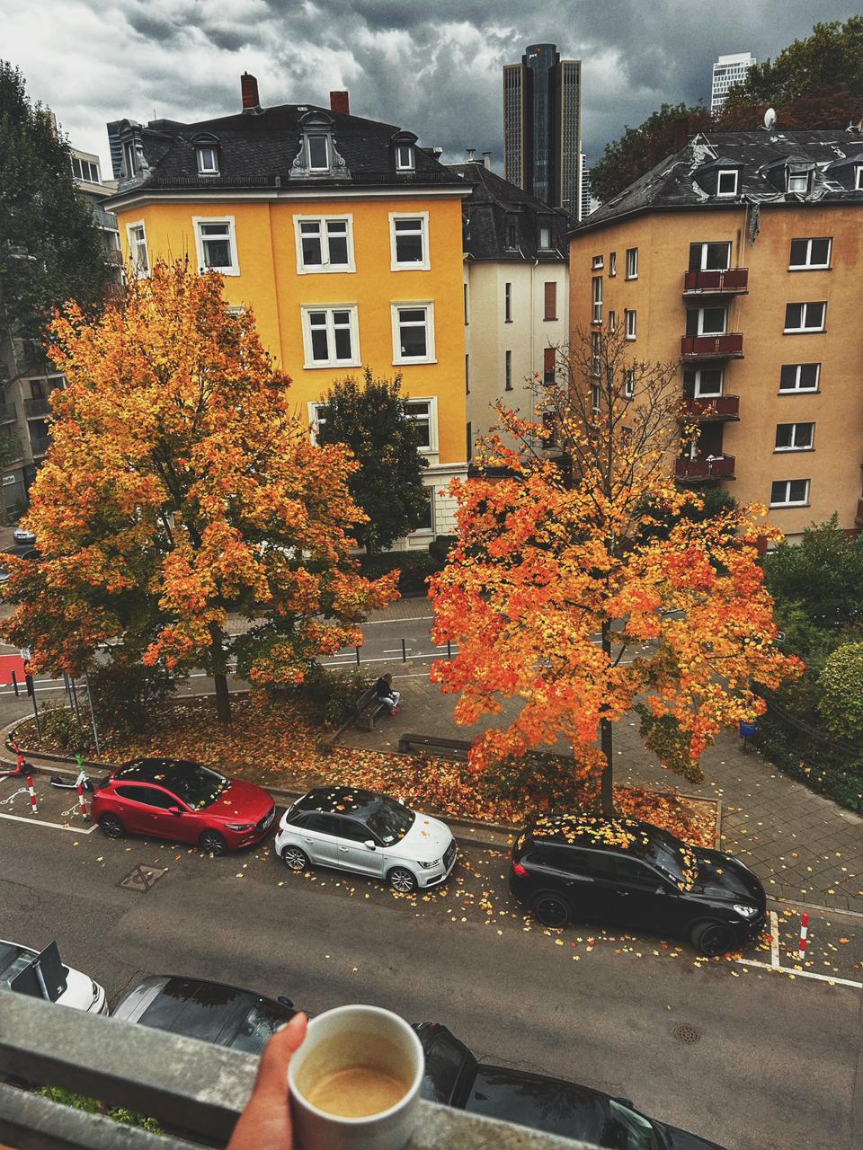 Frankfurt in the fall (Arunima Mazumdar) Frankfurt in the fall (Arunima Mazumdar)