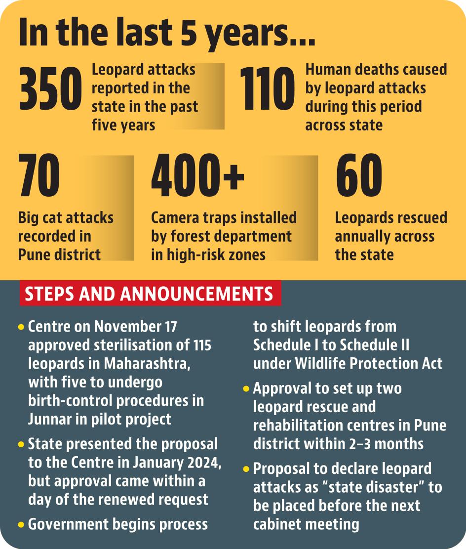 HT Infographics HT Infographics