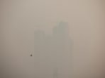 A bird flies past a highrise building on a smoggy morning amid ongoing air pollution in Delhi-NCR.(REUTERS/Anushree Fadnavis)