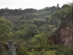 The Central Empowered Committee (CEC) told the court that varying definitions of the Aravalli hills have led to indiscriminate mining, threatening the sustenance of the ancient fold mountain. (Representative photo)