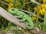 The animal kingdom thrives on survival of the fittest, with camouflage as a key survival tactic. From chameleons to geckos, various animals use unique adaptations to blend into their environments.