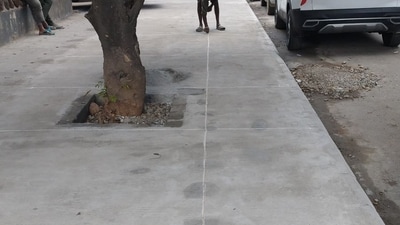 The GBA on Monday announced that brushed concrete footpath construction is currently underway. (X/GBA) The GBA on Monday announced that brushed concrete footpath construction is currently underway. (X/GBA)