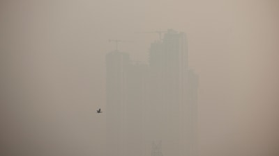 A bird flies past a highrise building on a smoggy morning amid ongoing air pollution in Delhi-NCR. (REUTERS/Anushree Fadnavis)