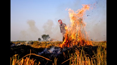 In the last 72 hours, only 43 farm fire incidents have been reported across the state. (File) In the last 72 hours, only 43 farm fire incidents have been reported across the state. (File)