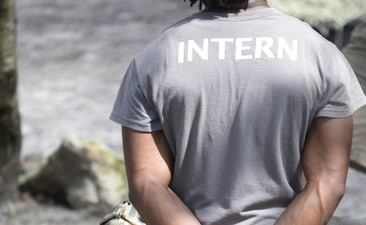 The Indian founder shared that interns will receive subscriptions for meals and the gym in addition to their stipend. (Representational image). (Unsplash) The Indian founder shared that interns will receive subscriptions for meals and the gym in addition to their stipend. (Representational image). (Unsplash)
