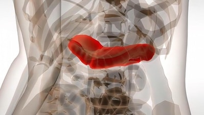 Pancreatic cancer is one of the deadliest cancers of all. A new mRNA vaccine could prevent tumors from returning. (Adobe Stock) Pancreatic cancer is one of the deadliest cancers of all. A new mRNA vaccine could prevent tumors from returning. (Adobe Stock)