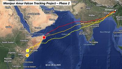 The route taken by the Amur falcons from Manipur. The route taken by the Amur falcons from Manipur.