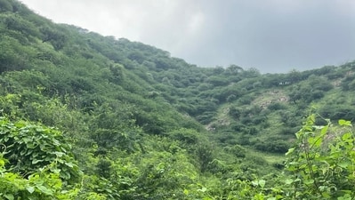 Students flee to jungle after beating at Palghar school over fetching water; probe ordered