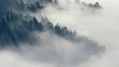 Nevada freezing fog advisories: Nearly 80,000 people warned of dangerous travel conditions (Pexel - representational image) Nevada freezing fog advisories: Nearly 80,000 people warned of dangerous travel conditions (Pexel - representational image)