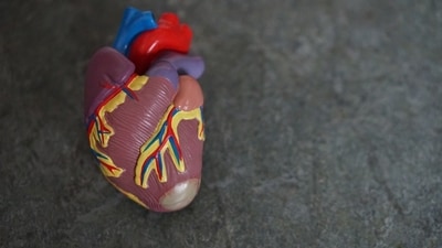 Even bad sleep and brain fog can be symptoms of heart failure! (Unsplash) Even bad sleep and brain fog can be symptoms of heart failure! (Unsplash)
